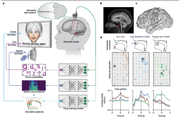 図3 想起内容を出力するBMI (Fukuma et al.,Comm.Biol., 2022より改変)