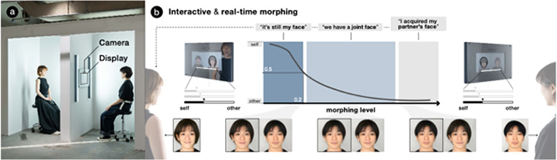 (4) Morphing Identityによる連続した自己顔変容の実現