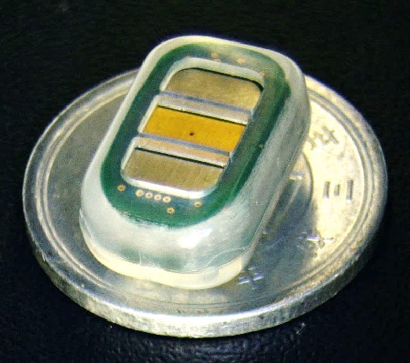 図1 射出成型によって封止した体温特化型生体内CA