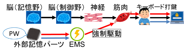 図２：人体がパーツ化されたパスワード認証