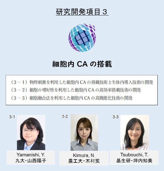 図3-1 研究開発項目3の課題推進者