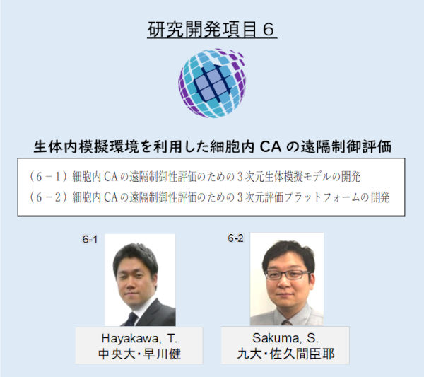 図6−1 研究開発項目6の課題推進者