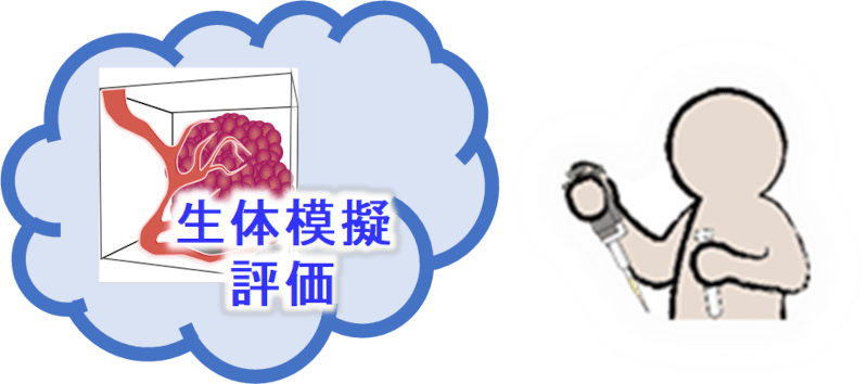 生体模擬評価