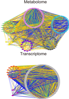 Ito et al., Sci Rep 2023.
