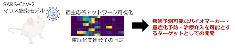 図