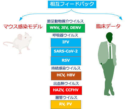 相互フィードバック