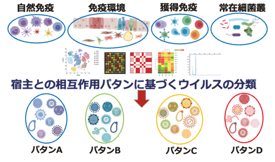 宿主との相互作用パタンに基づくウイルスの分類