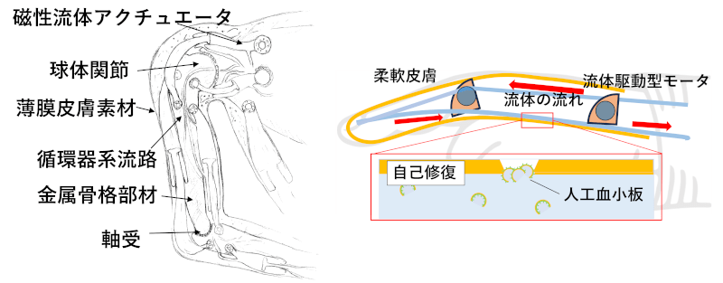 図1 隙間がなく自己修復機能を持つウェットロボットメカニズム