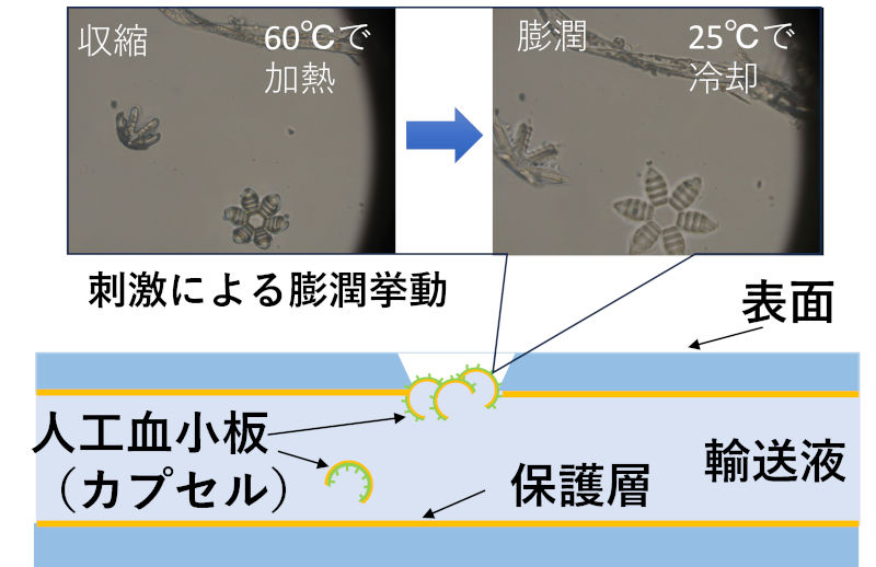 図4 物質供給による自己修復