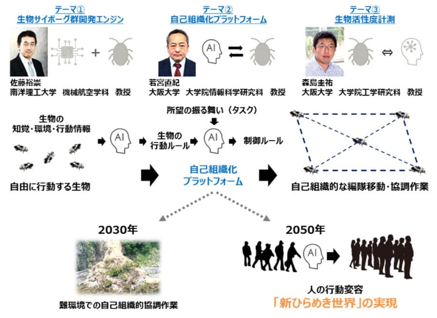 研究テーマ構成