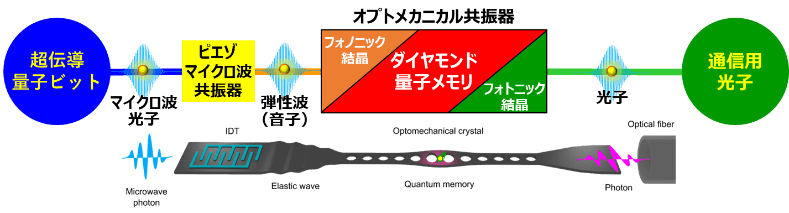 図2.量子IFにおけるオプトメカニカル共振器の役割。