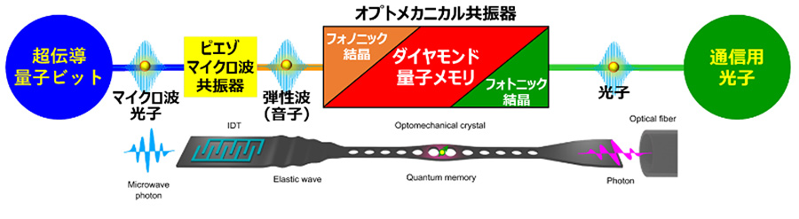 図１．量子IFにおけるピエゾマイクロ波共振器の役割