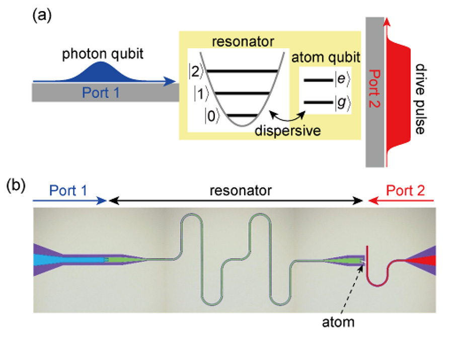 図４．超伝導量子ビット―マイクロ波光子量子ビット間交換ゲート。（a）概念図、（b）デバイスの顕微鏡写真