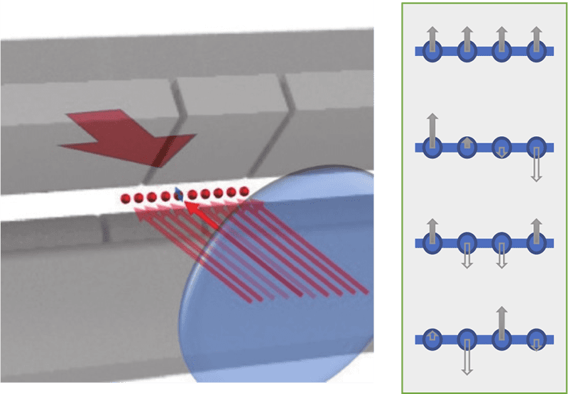 図１（左）対向するレーザービームによる動径振動モードの励起、（右）イオン配列の動径方向の集団振動モード。