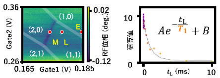 図3:スピン緩和時間評価