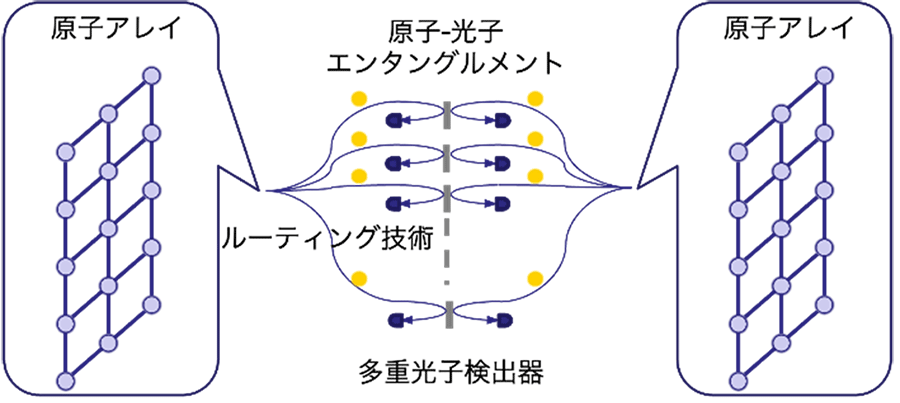 図1　本研究開発テーマの目指すネットワーク型原子量子コンピュータの概念図