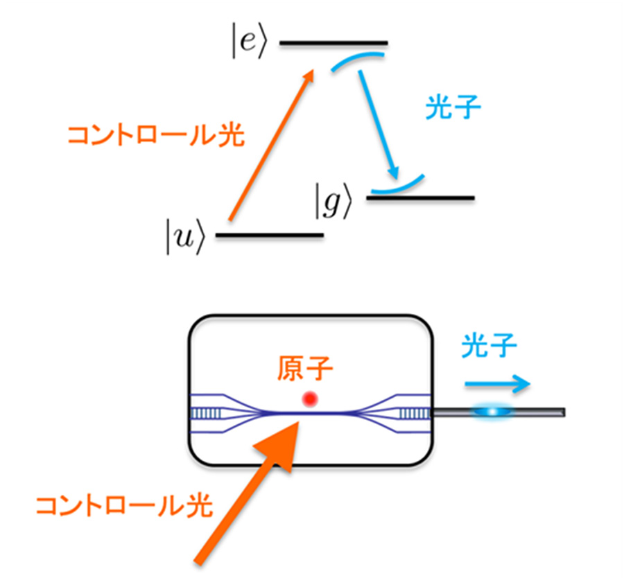 図３：ナノファイバー共振器に基づく単一光子生成