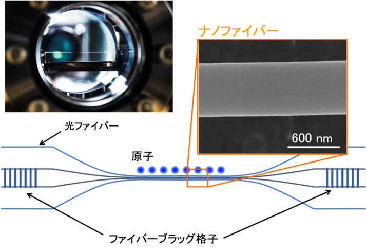 図２：ナノファイバー共振器QED系