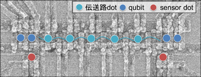 図2 シャトリング専用量子ドットアレイの電子顕微鏡写真。