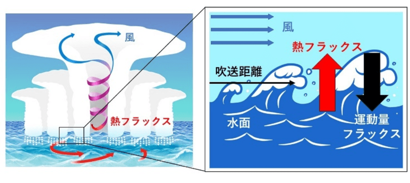 図１：台風下の海面を通しての運動量輸送