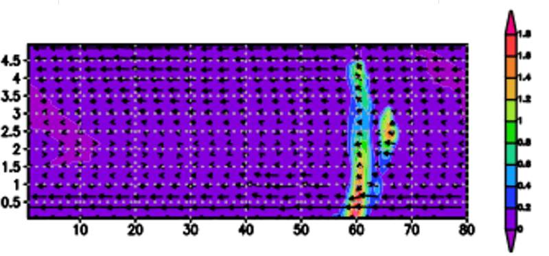 図2：鉛直断面の水物質と速度ベクトルの可視化