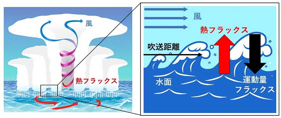 台風の断面図