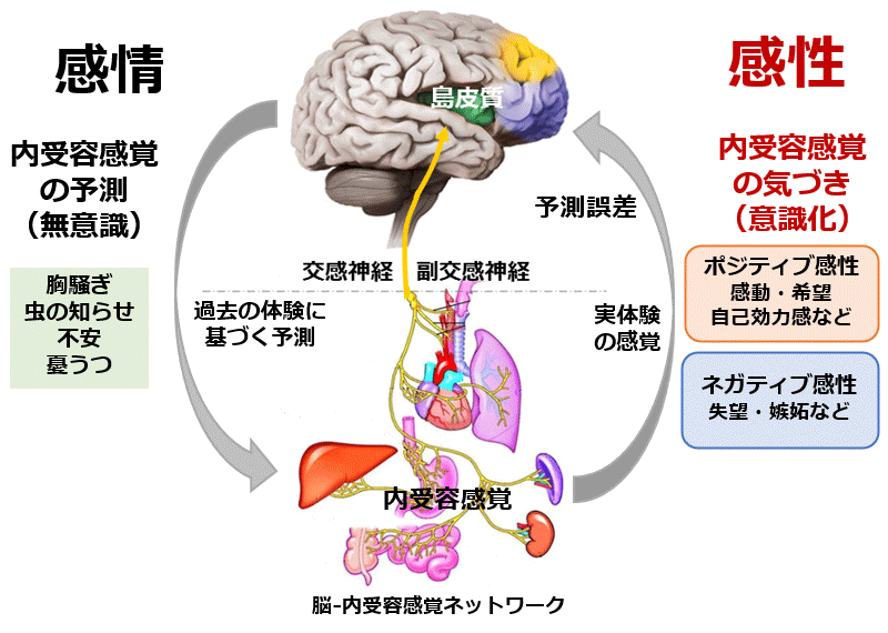 影響力の使い方講座 承諾誘導の心理技術 CD＆DVD（4枚組