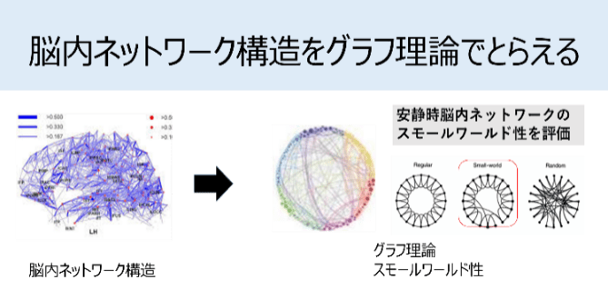 脳内ネットワーク構造をグラフ理論でとらえる