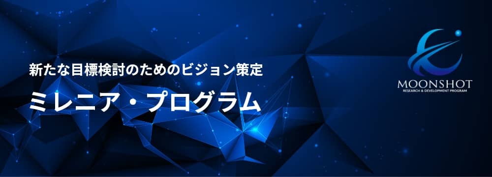 新たな目標検討のためのビジョン策定（ミレニア・プログラム）