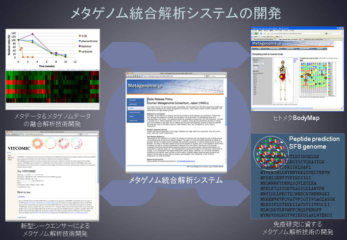 黒川顕メタゲノム統合解析システムの開発