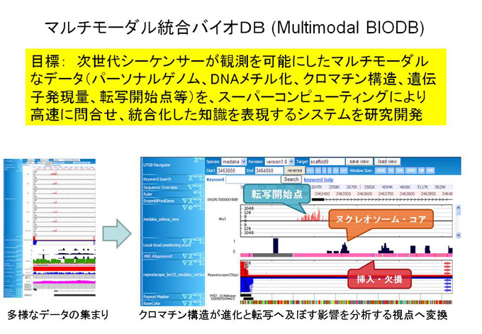 森下真一マルチモーダル統合バイオＤＢ（

Multimodal BIODB) 