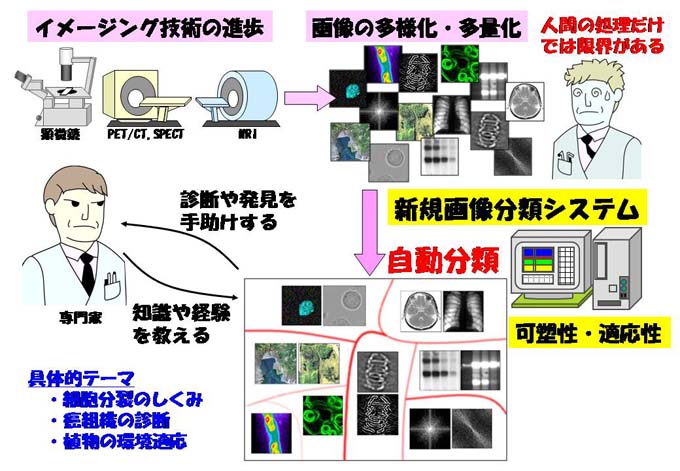 馳澤盛一郎進化型計算と自己組織化による適応的画像分類法の開発