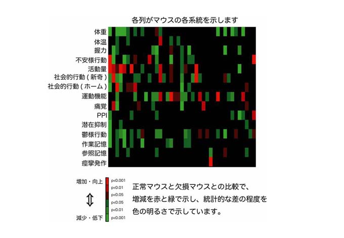 宮川剛マウスを用いた脳機能表現型データベースの開発2