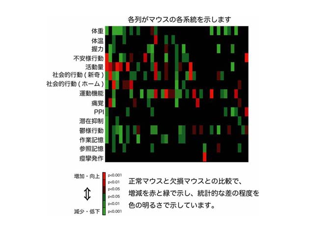 マウスを用いた脳機能表現型データベースの開発 - BIRD NBDC