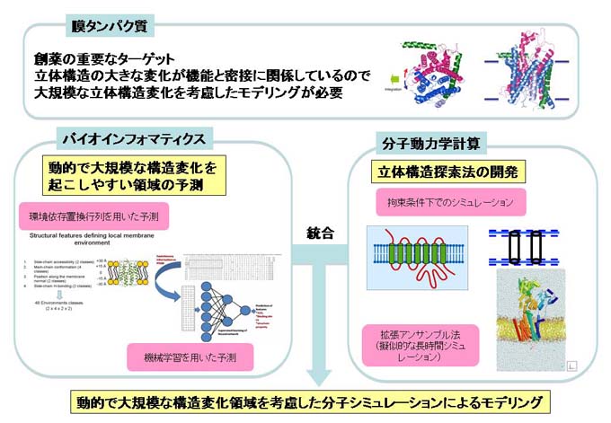水口賢司ダイナミクスを考慮した膜蛋白質の構造モデリング法の開発
