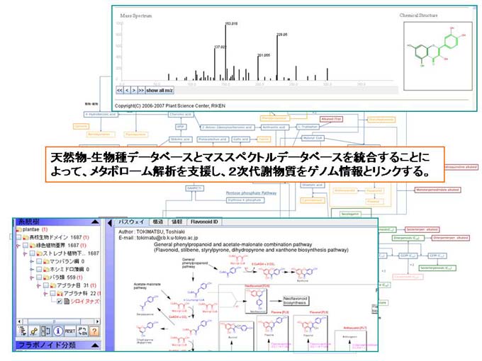 西岡孝明メタボロームＭＳスペクトル統合データベースの開発（Metabolome-Mass Spectral Database） 