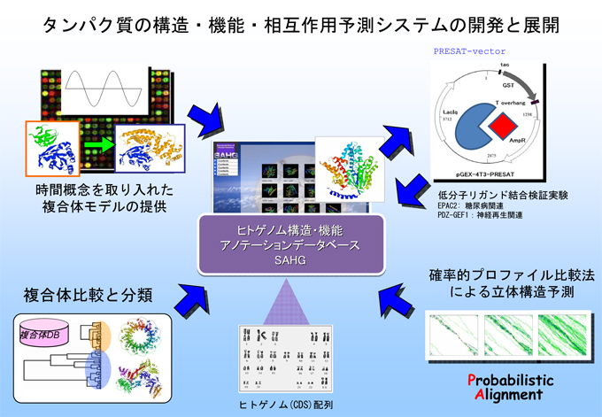太田元規タンパク質の構造・機能予測法の開発とヒトゲノム配列への適用