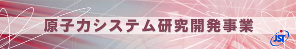 原子力システム研究開発事業