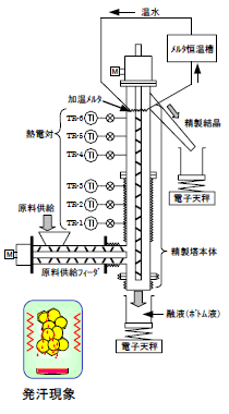 図7