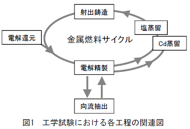 図1 工学試験における各工程の関連図