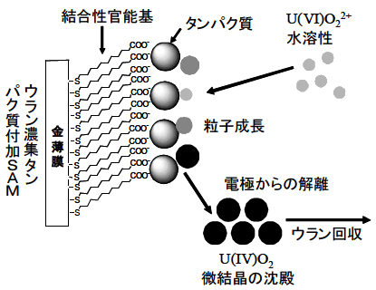 図1