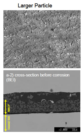 図1: Larger Particle