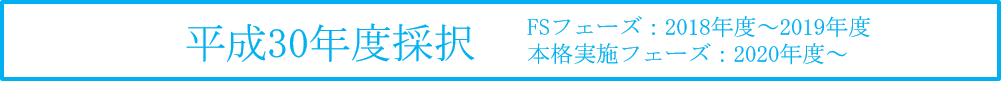 平成30年度採択