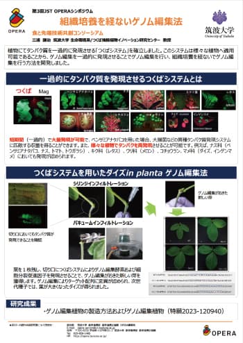 P6-4ポスターのイメージ画像