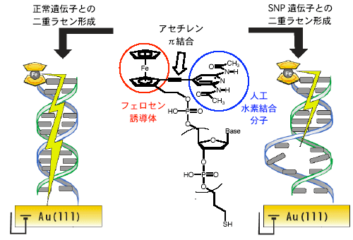 図１