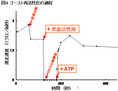 図４