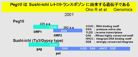 図１