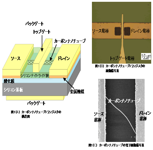 図１　カーボンナノチューブトランジスタの構造