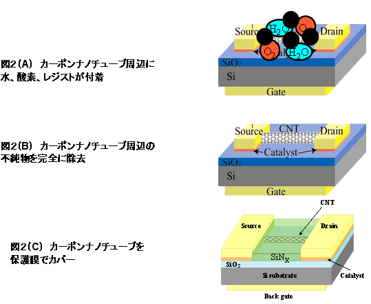 図２　不安定性の原因