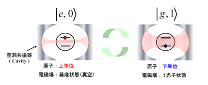 図１．真空ラビ振動の説明図